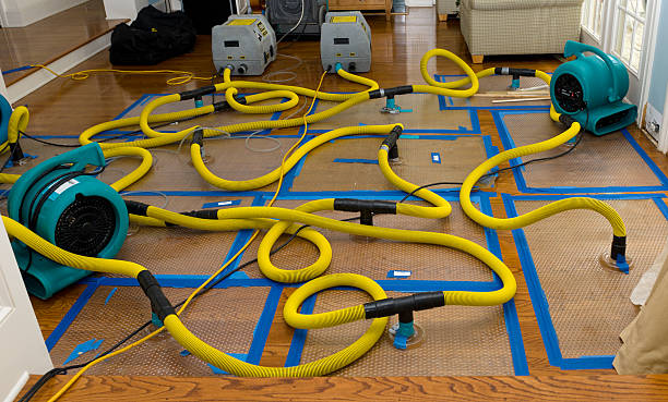 Professional Structural Drying And Dehumidification technician working in Placerville, CA